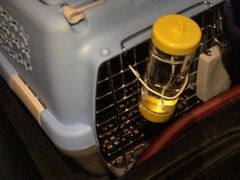 -龙猫仔乐园(惠福东路店)