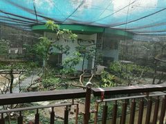 -九龙公园