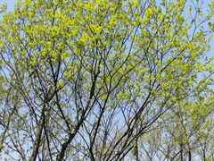 -杭州半山国家森林公园