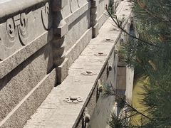 -赵州桥景区