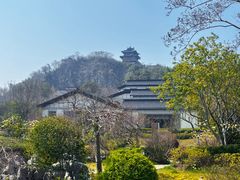 -雅达·阳羡溪山小镇中心