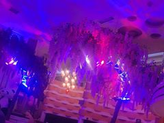 -巴特餐饮6加1音乐餐吧·新疆菜