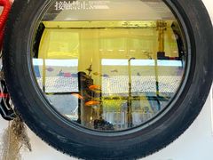 -陶野咖啡·面包披萨