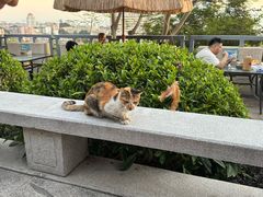 -鸿山公园