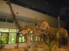 -自贡恐龙博物馆