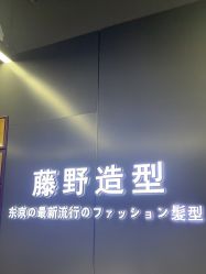 -藤野造型烫发染发