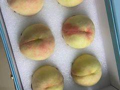 -老袁家蜜桃农场·阳山水蜜桃