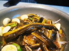 软兜长鱼-淮扬韵(高新大都荟店)