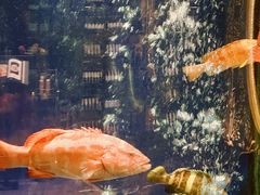 -陶陶居·雅园(凯华国际店)