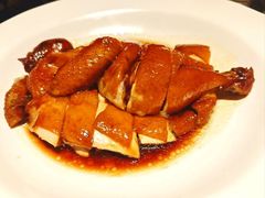 -新兴·金羊座·粤菜点心(乐峰店)