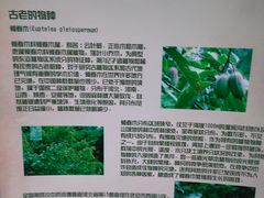 -石家庄市植物园