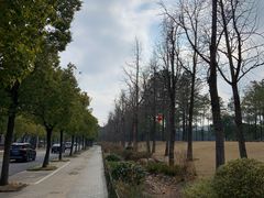 -美兰湖景区