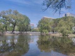 -万泉公园