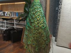 -红星美凯龙北京至尊MALL(东四环中路店)