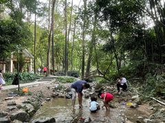 -火炉山森林公园