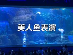 -多彩贵州城极地海洋世界