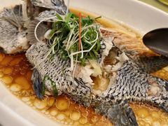 -骏莱海鲜鱼港(五角场店)