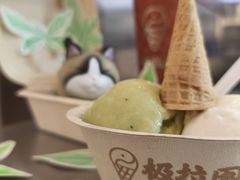 -极拉图·现制冰淇淋(大卫城店)