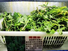 -黔府豆米火锅野菜馆(南马店)