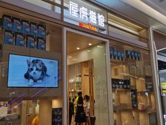 -屋虎猫馆(宝安大仟里店)