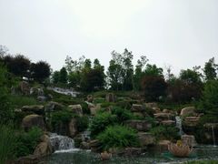 -秀丽东方