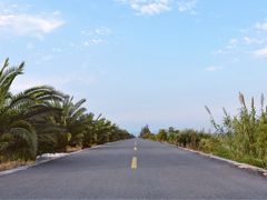 -漩门湾国家湿地公园