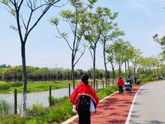 -上海长兴岛郊野公园