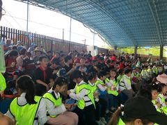 景点-武汉紫薇都市田园