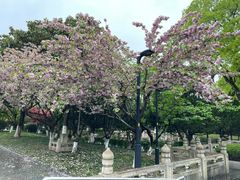 -苏州文庙(姑苏区)