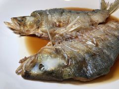 -子福慧(虹桥店)