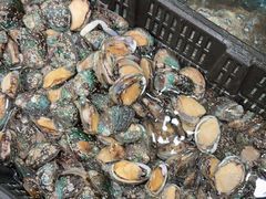 -渔码头食府(蓬莱阁店)