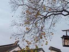 -枫桥景区