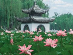 -陶然亭公园