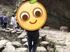 -牛背梁国家森林公园