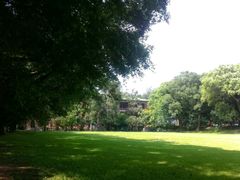 android_upload_pic-中山大学学者灵芝(园南路店)