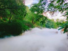 -北京西山国家森林公园