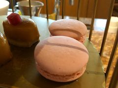 -The Lounge大堂酒廊·咖啡·沙拉·下午茶(金茂深圳JW万豪酒店)