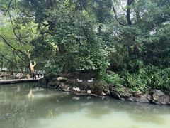 -兰亭风景区