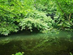 -阿哈湖国家湿地公园