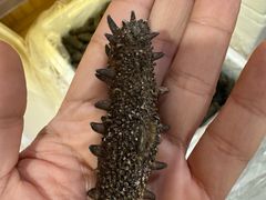 -宫品海参专卖店(静安大宁店)