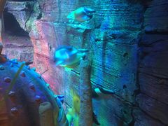 -沈阳海洋探索中心