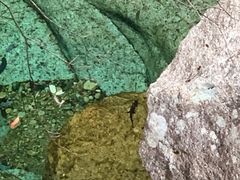 -祁门牯牛降观音堂风景区