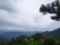 -牛背梁国家森林公园