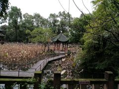 -房湖公园