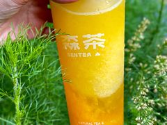 -森茶(湛江万达店)