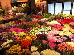 -双季花艺园艺市场(浦东店)