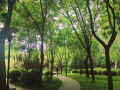 -北极寺公园
