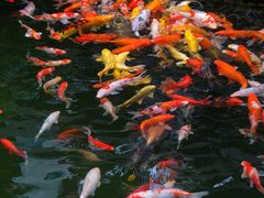 -清漾毛氏文化村