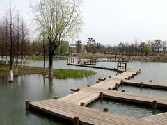 -白塘生态植物园