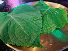 -老卜奎齐齐哈尔烤肉(人民东路店)